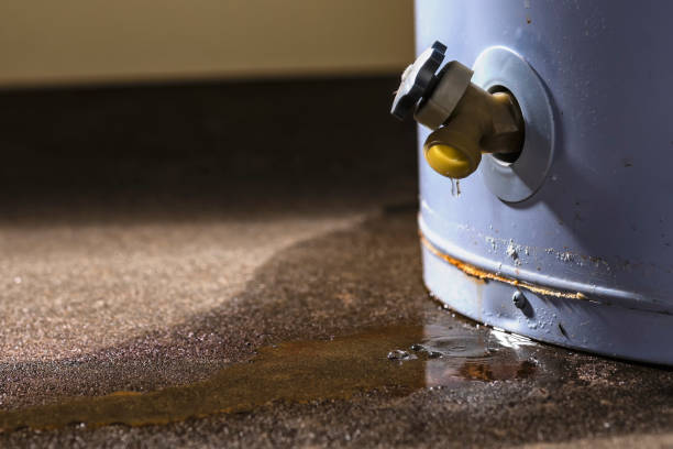 Best 24/7 water damage repair  in Peabody, KS