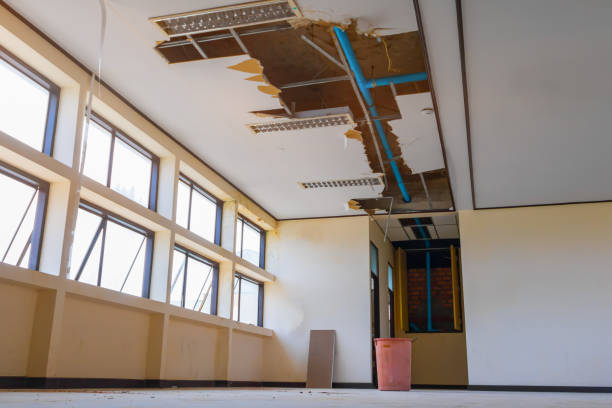 Best Water damage cleanup near me  in Peabody, KS