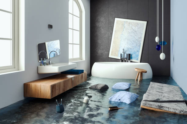 Best Basement water damage restoration  in Peabody, KS