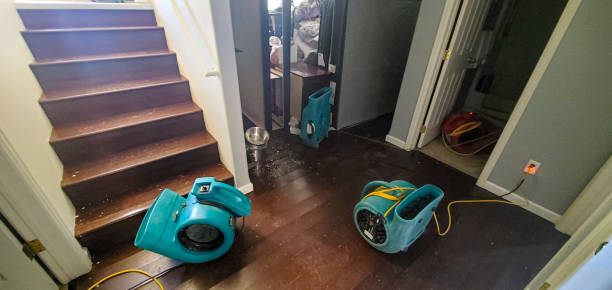 Best Basement water damage restoration  in Peabody, KS