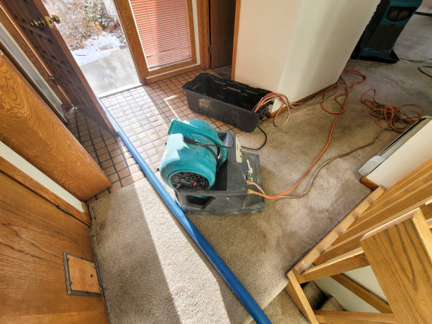 Best Water damage repair service  in Peabody, KS