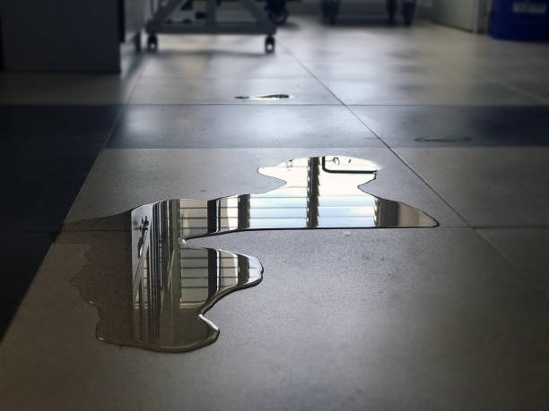 Best Water damage restoration services  in Peabody, KS