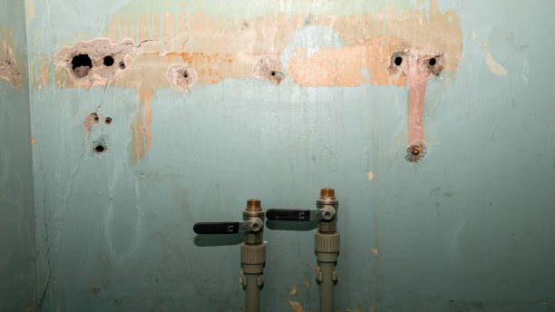 Professional Water damage restoration in KS