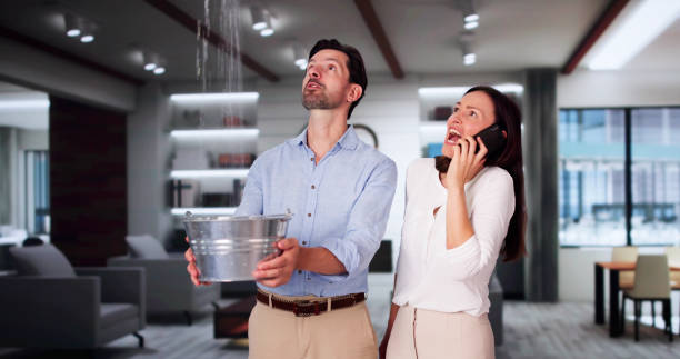 Best Flooded house restoration  in Peabody, KS