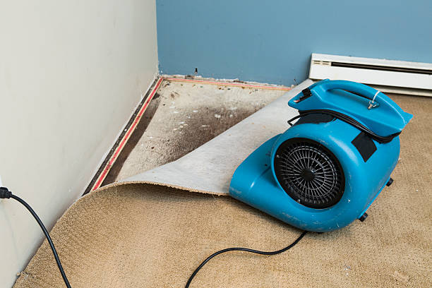 Best Carpet water damage restoration  in Peabody, KS